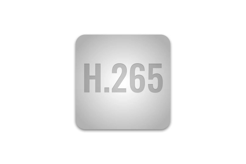 H.265 icon
